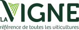 la vigne